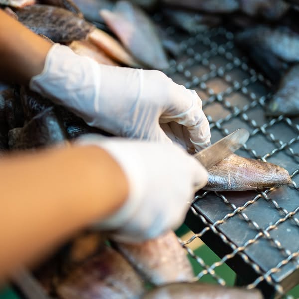 189886697_1621514514710405_7664002491654142254_n