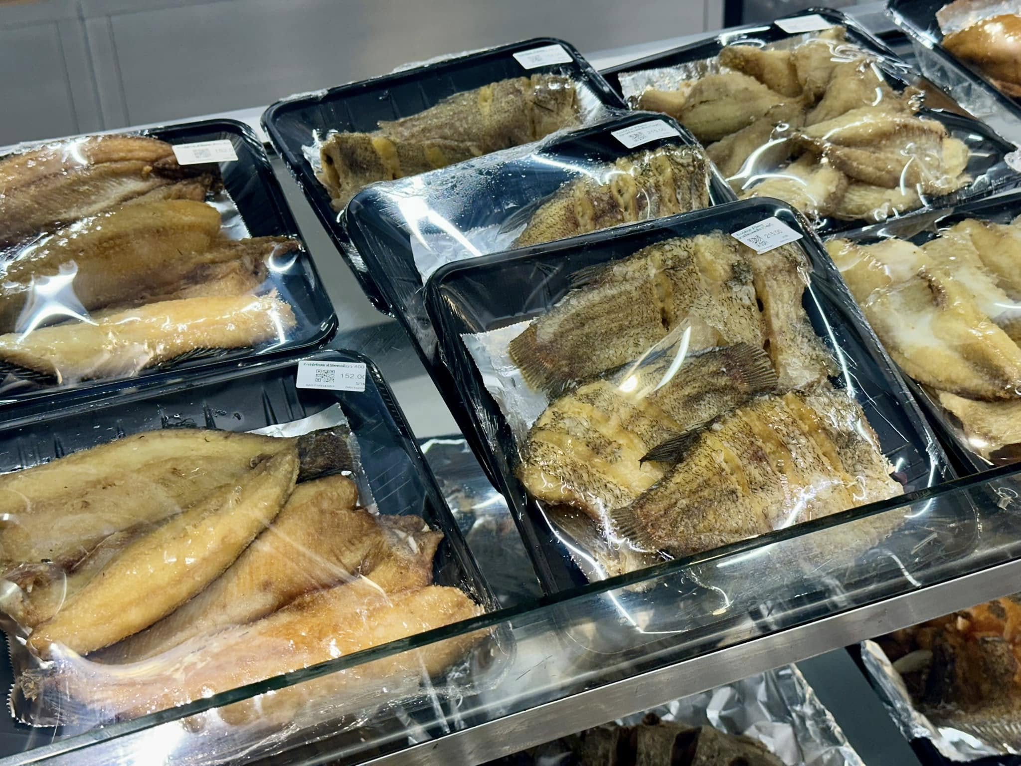 486669244_1124398036366326_2363456453149787807_n