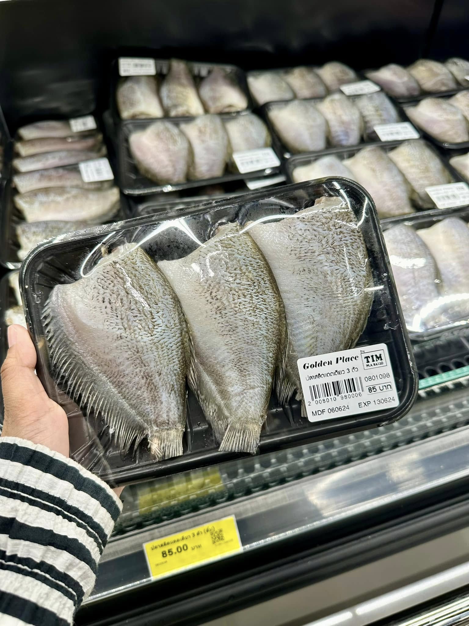 487138964_1124398103032986_8238438919685543509_n