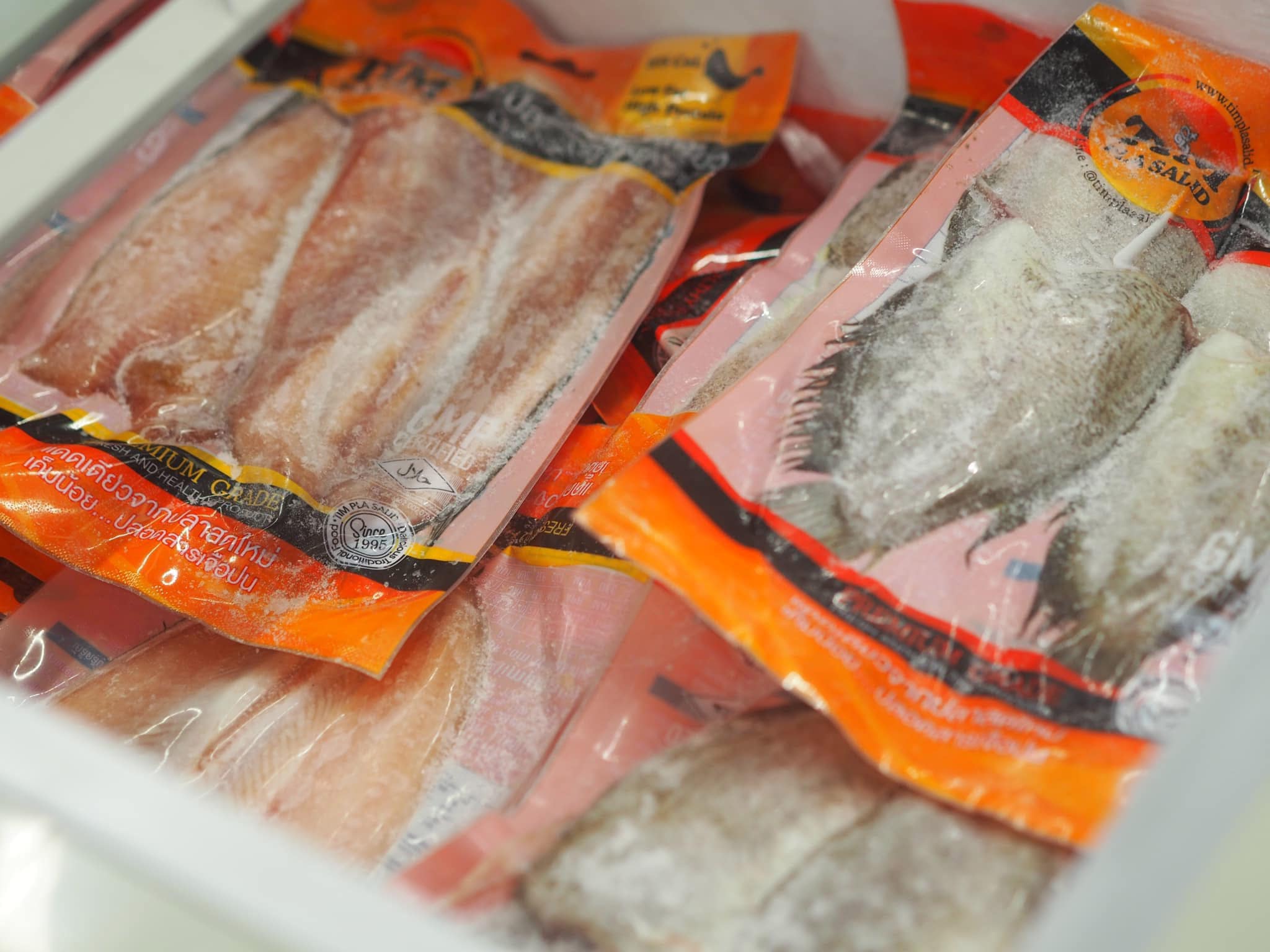 487204573_1124398099699653_6448416444601027626_n