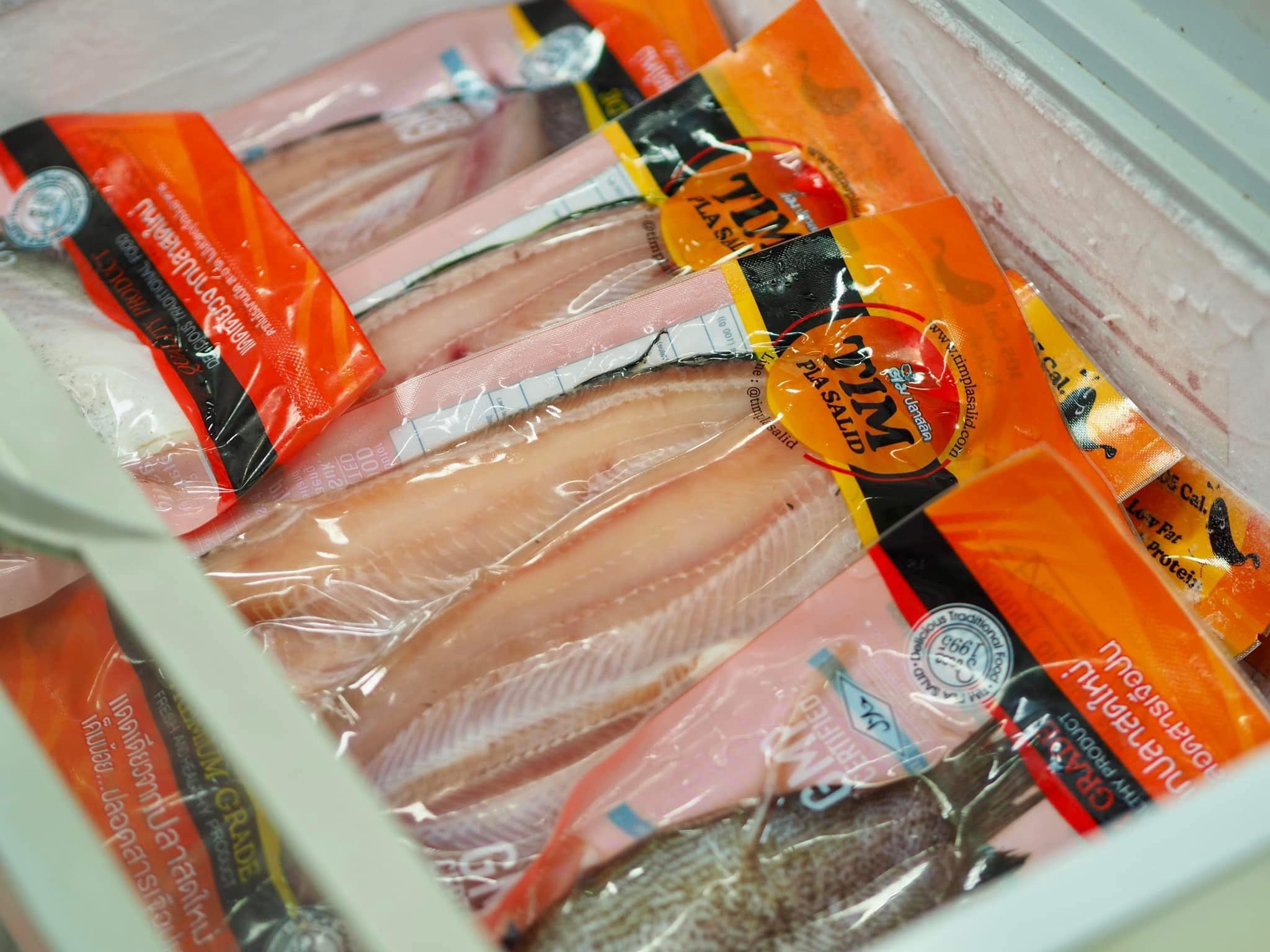 487373712_1124397796366350_6107728681968268108_n