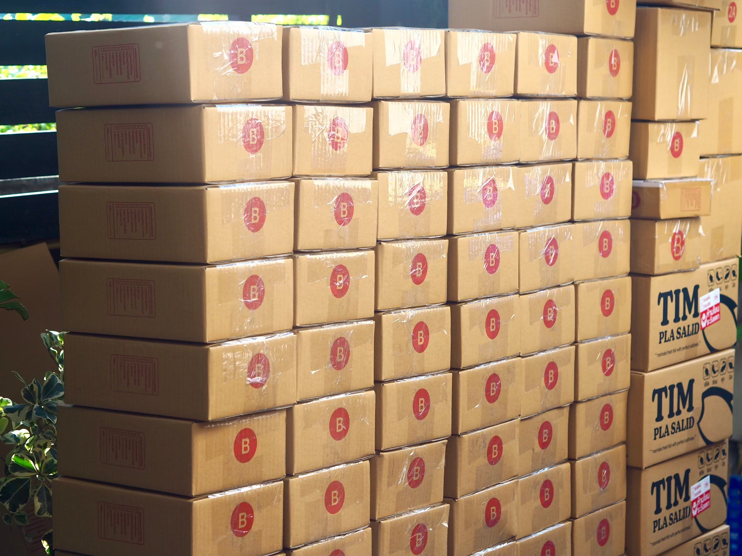 LINE_ALBUM_08.08.23 เอาทำคอนเท้น_250426_10