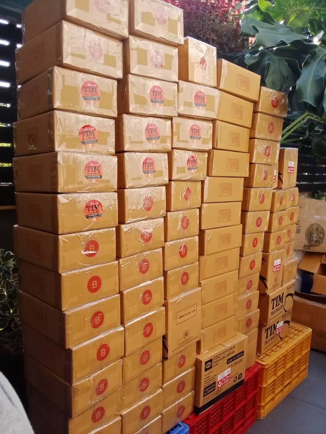 LINE_ALBUM_08.08.23 เอาทำคอนเท้น_250426_6