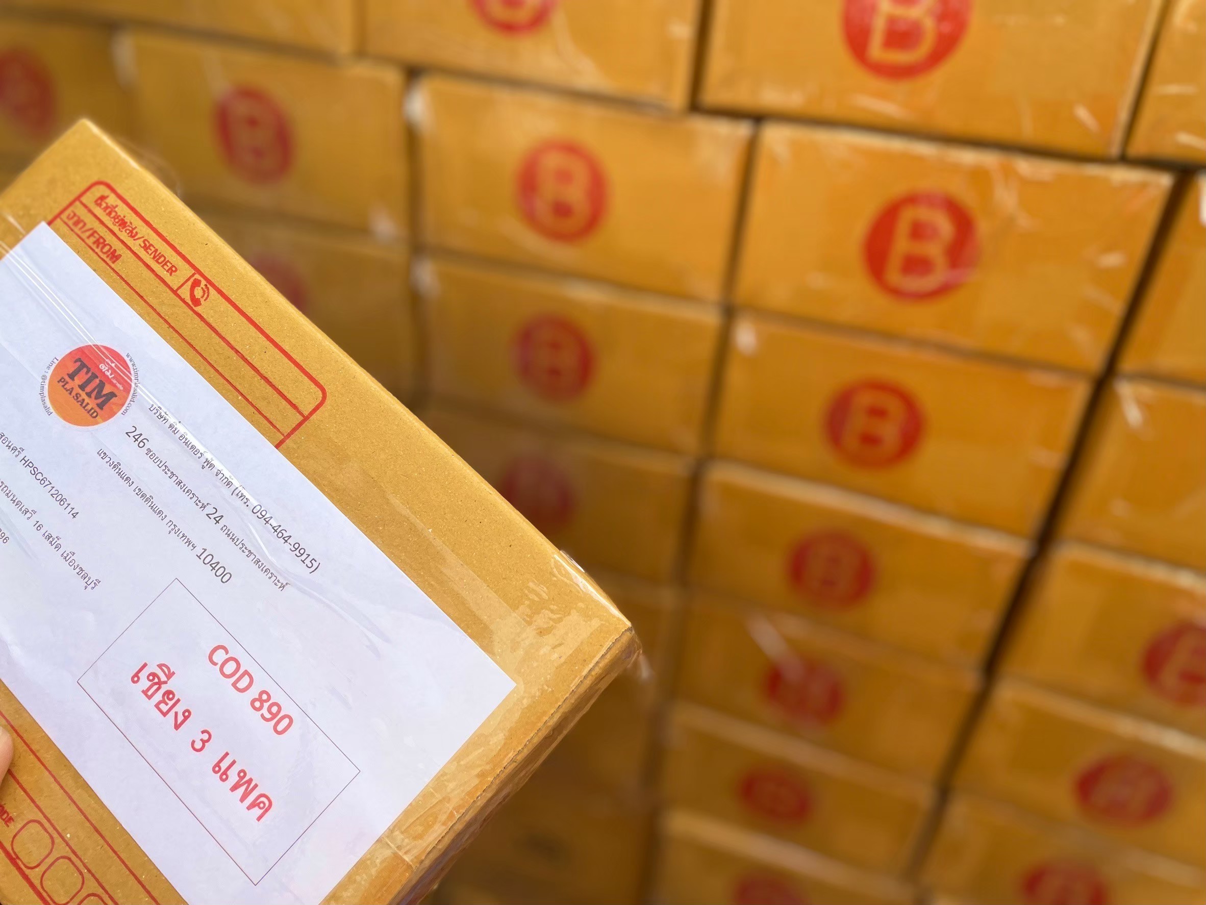 LINE_ALBUM_08.08.23 เอาทำคอนเท้น_250426_8